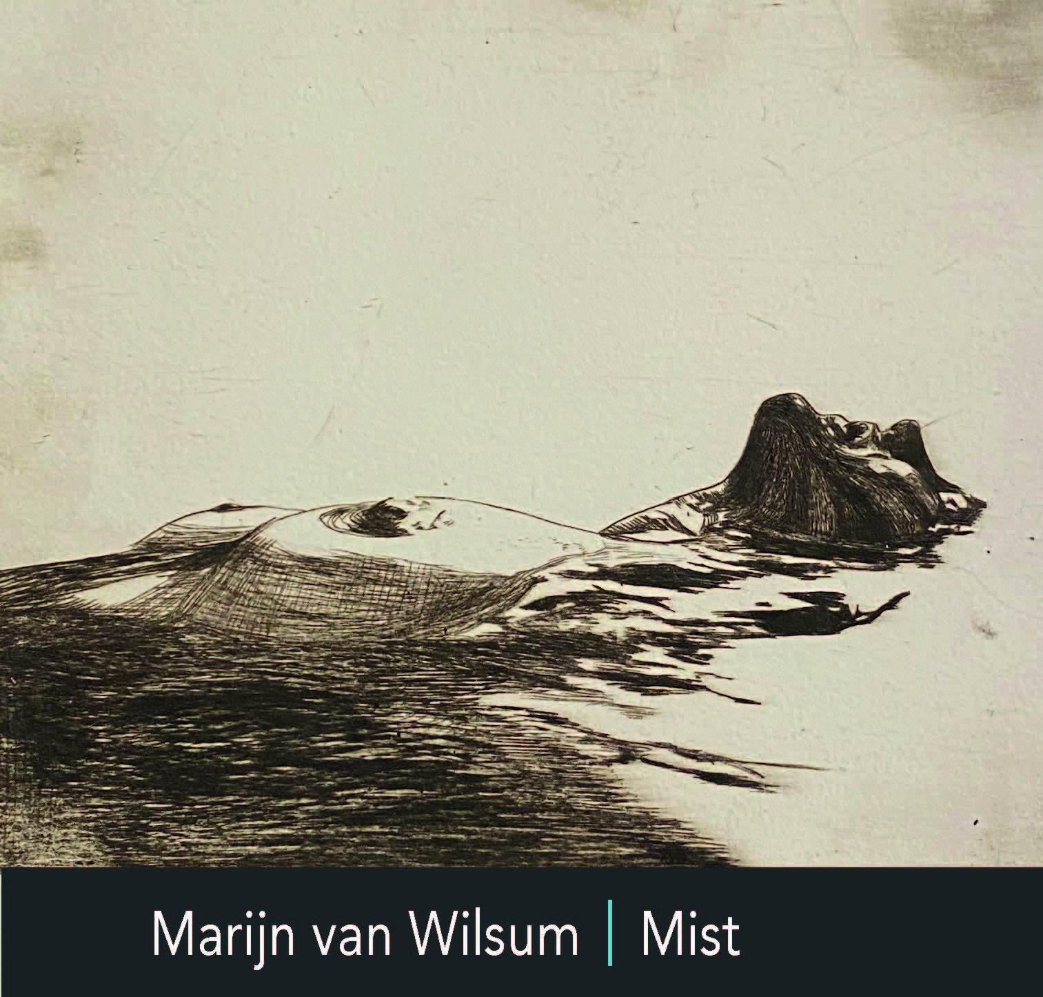 Marijn van Wilsum Mist